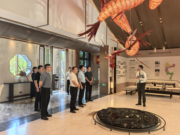 壽縣縣委常委、副縣長房鯤鵬一行到訪省健康養老公司