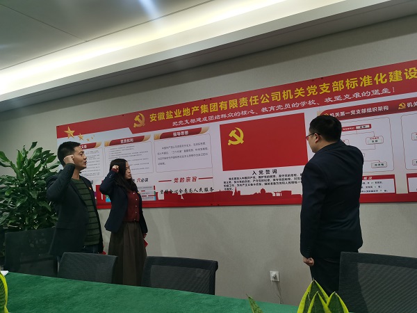 安徽鹽業地產集團機關第一黨支部開展“佩黨徽、誦誓詞、贈黨章、上黨課”黨員教育活動