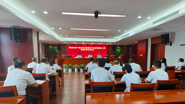 王思軍出席徽鹽地產集團總部新任中層管理人員任前集體談話會議